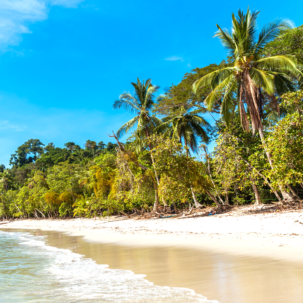 Costa Rican Beach