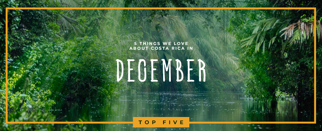 5 Reasons We Love December in Costa Rica