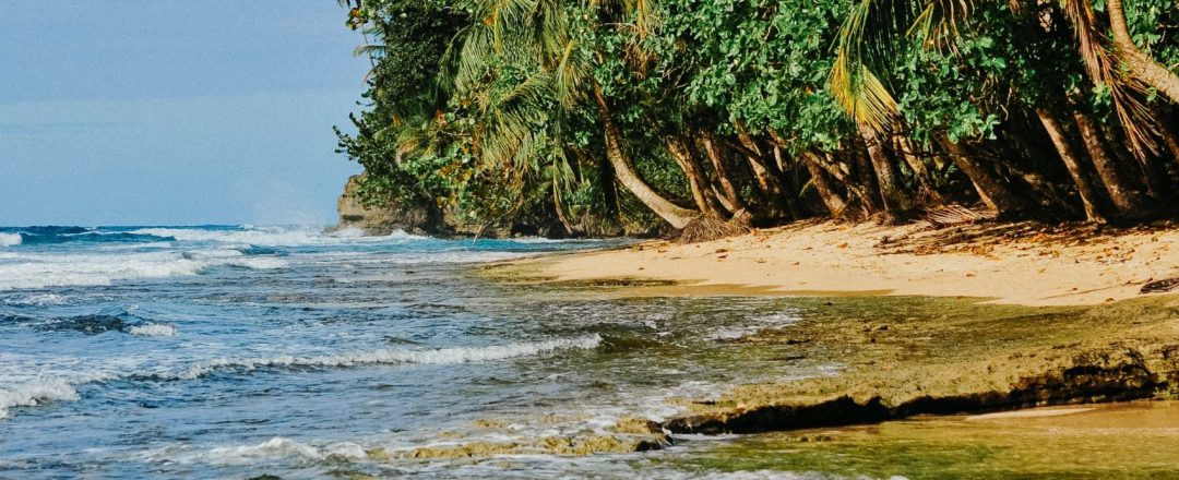 juliana-barquero-PkpW57QZZus-unsplash